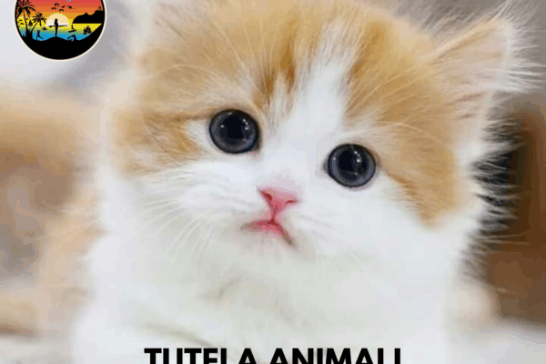 Francesca Alba è la nuova Garante per la Tutela degli Animali e Francesca Maria Cogoni la collaboratrice tecnica.
